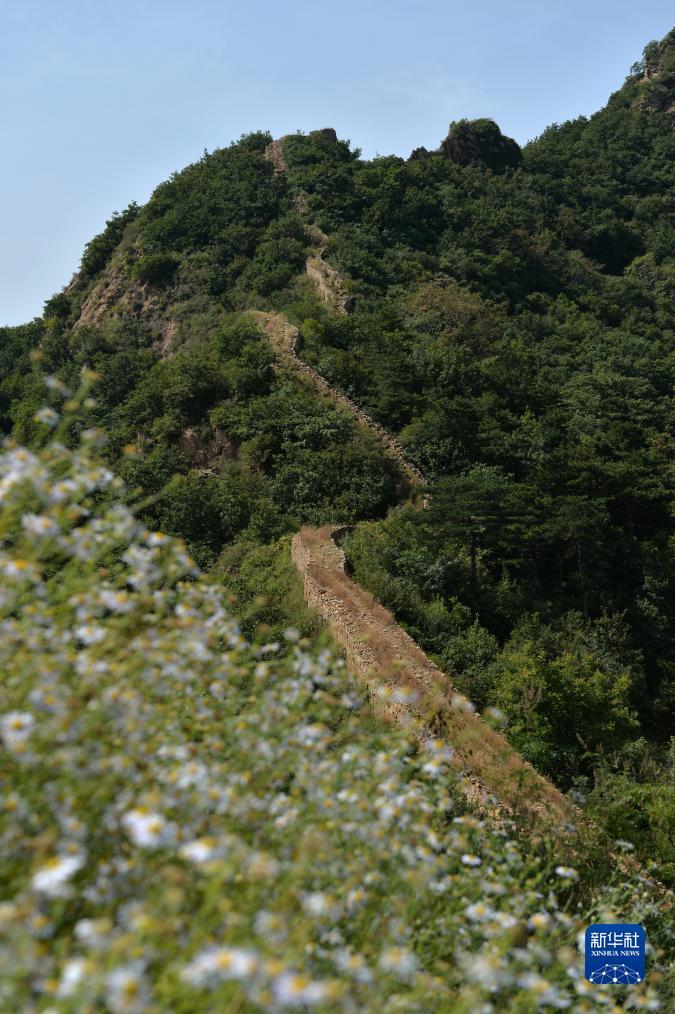 欧洲城28登录网站